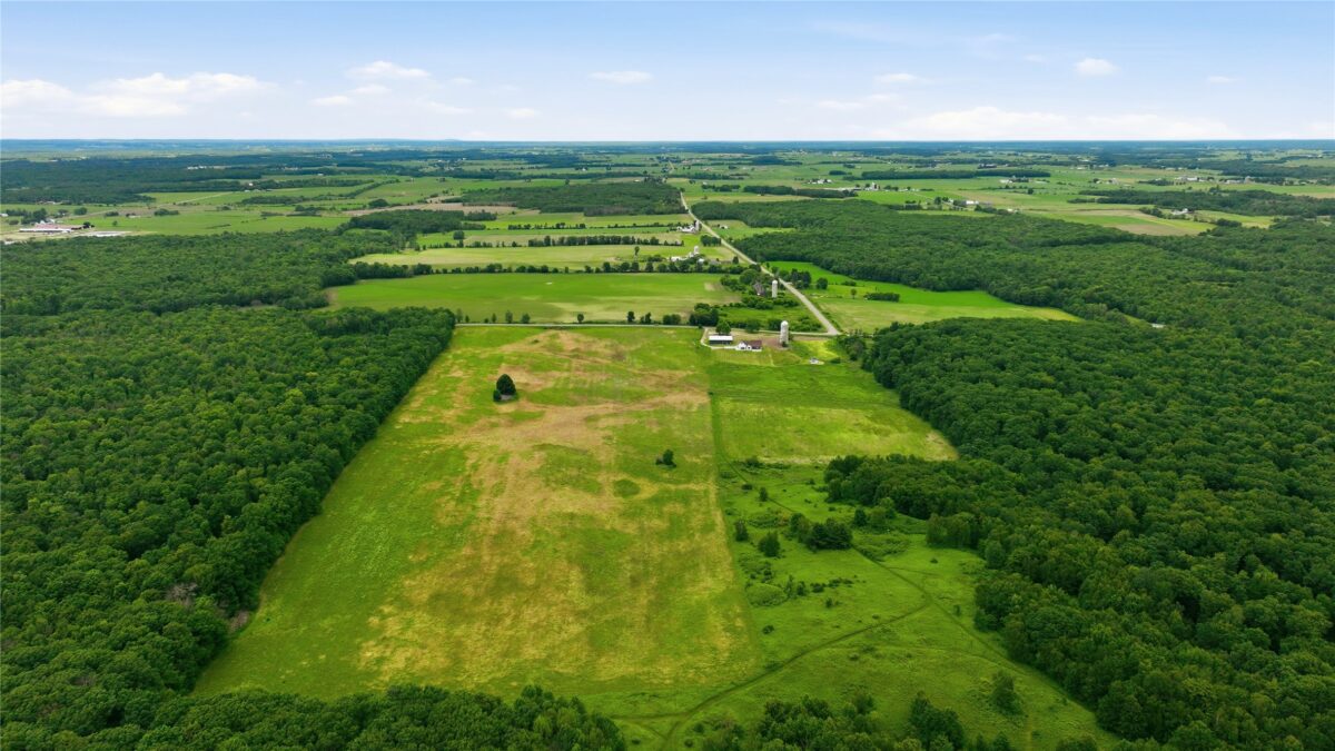 0 40th Avenue, Cadott WI 54727 - Land house for sale - MLS #1602352 - image3
