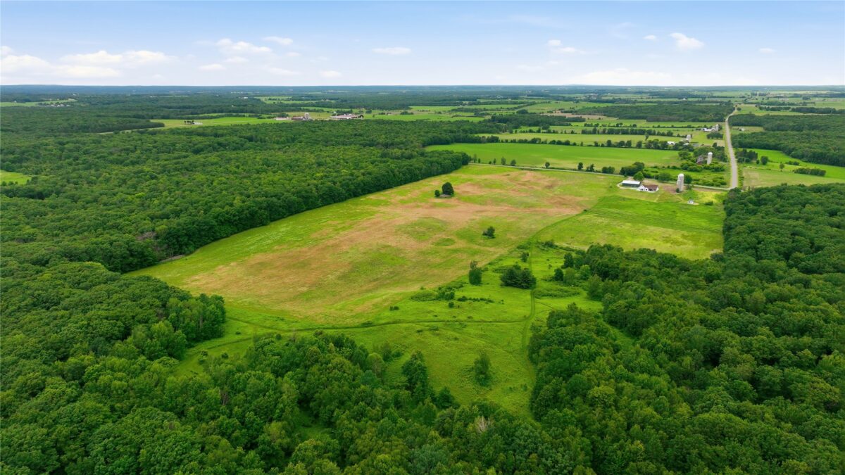 0 40th Avenue, Cadott WI 54727 - Land house for sale - MLS #1602352 - image5