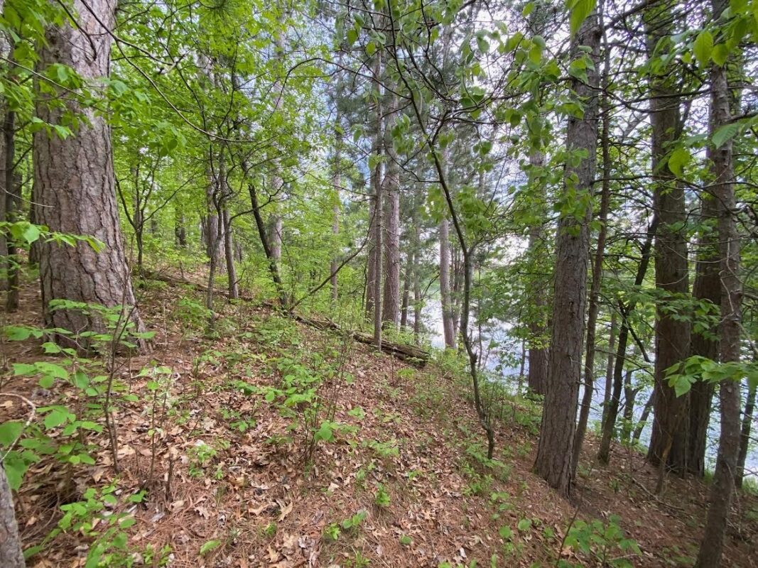 0 Hustvet Drive, Trego WI 54888 - Land house for sale - MLS #1601910 - image2