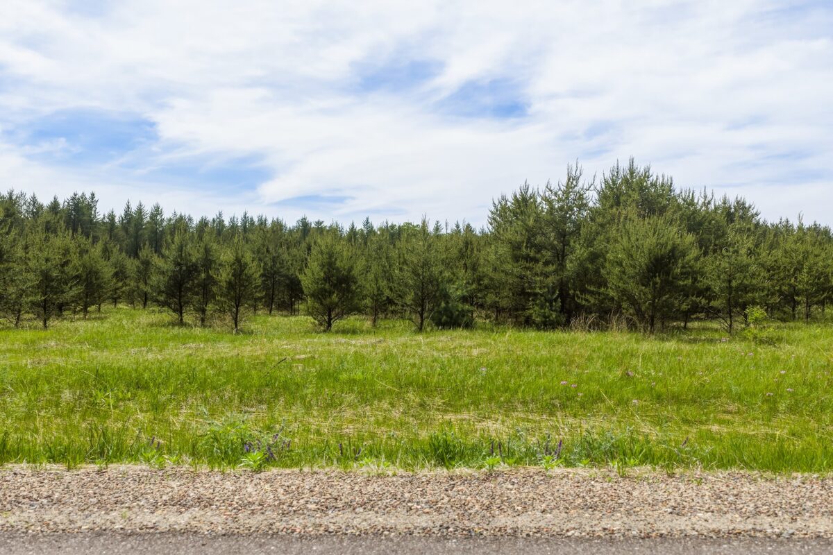 0 Lot 1, Augusta WI 54722 - Land house for sale - MLS #1601632 - image2