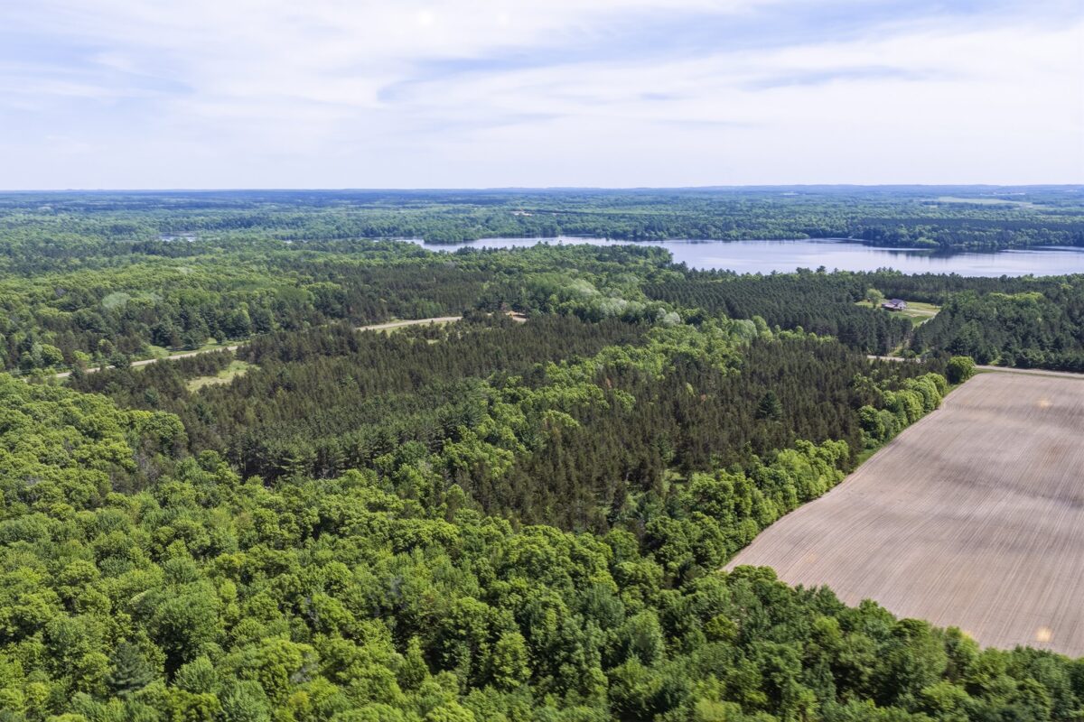 0 Lot 1, Augusta WI 54722 - Land house for sale - MLS #1601632 - image12