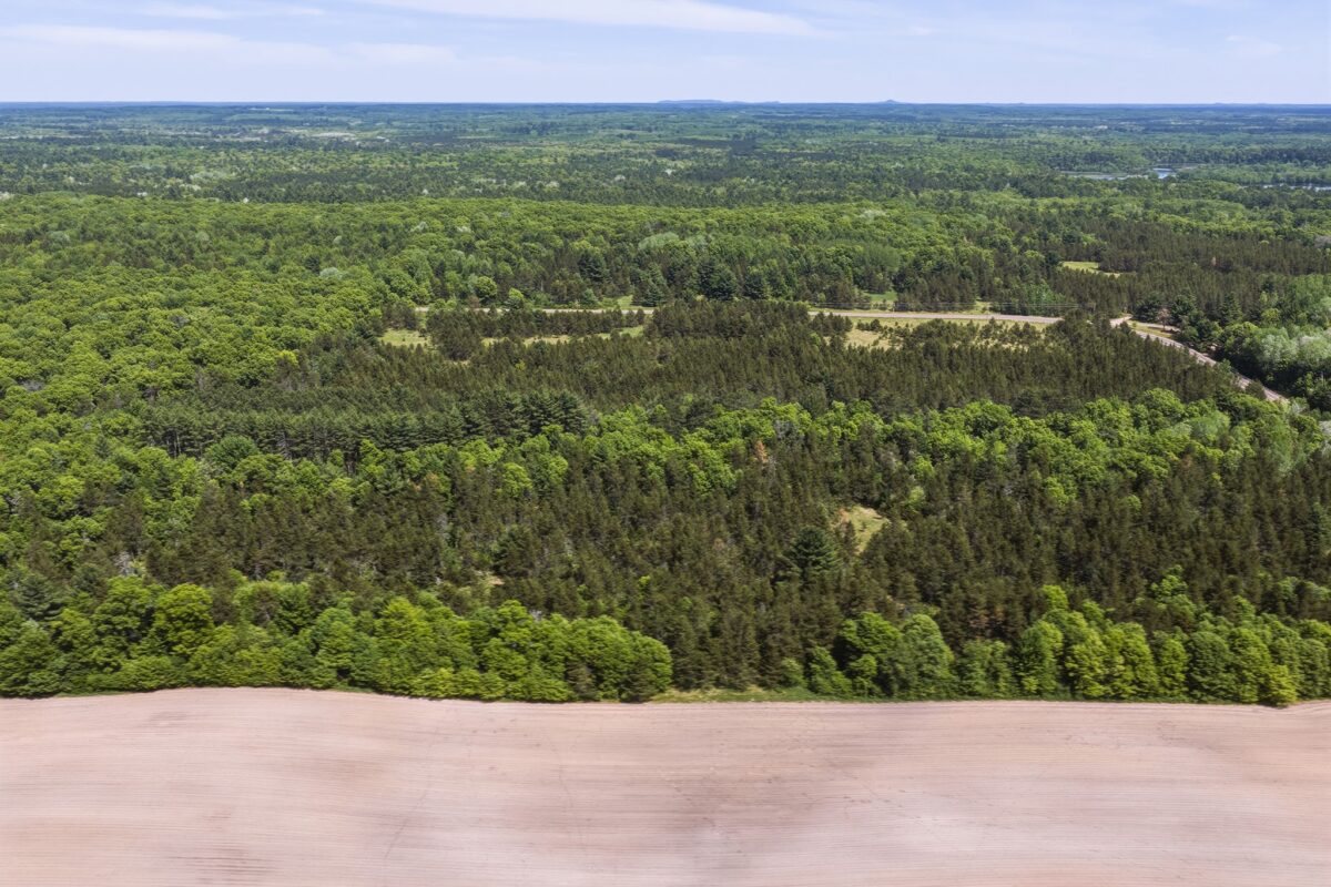0 Lot 1, Augusta WI 54722 - Land house for sale - MLS #1601632 - image14