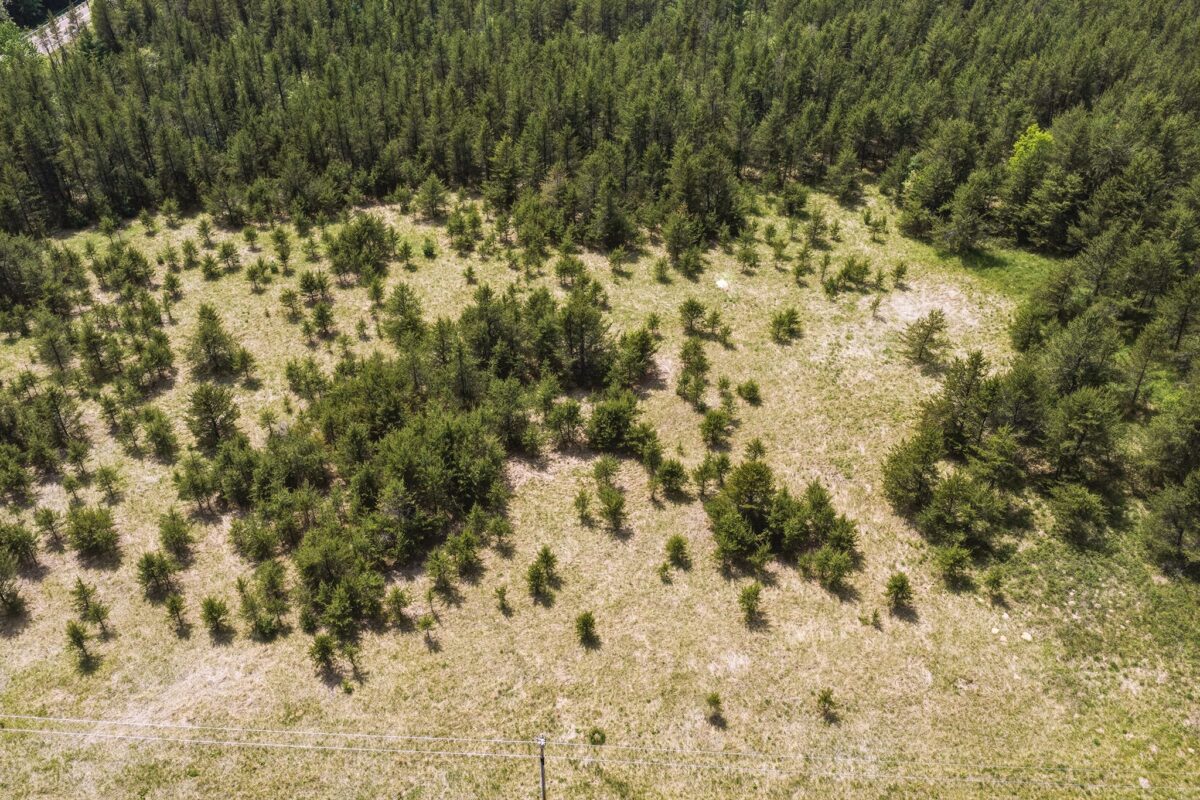 0 Lot 1, Augusta WI 54722 - Land house for sale - MLS #1601632 - image15