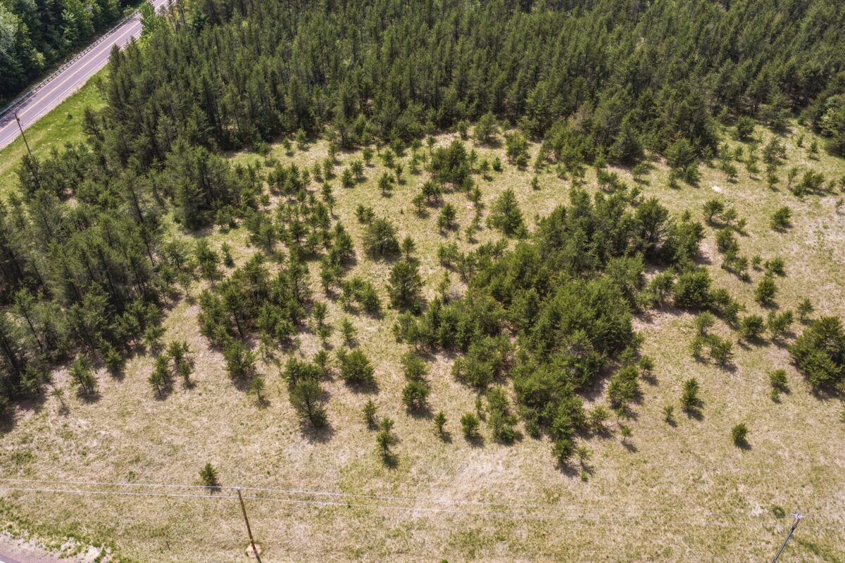 0 Lot 1, Augusta WI 54722 - Land house for sale - MLS #1601632 - image16