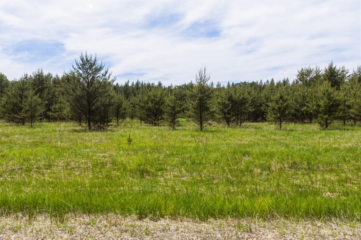 0 Lot 1, Augusta WI 54722 - Land house for sale - MLS #1601632 - image3