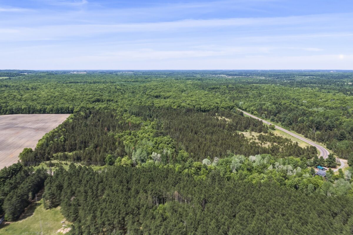 0 Lot 1, Augusta WI 54722 - Land house for sale - MLS #1601632 - image5