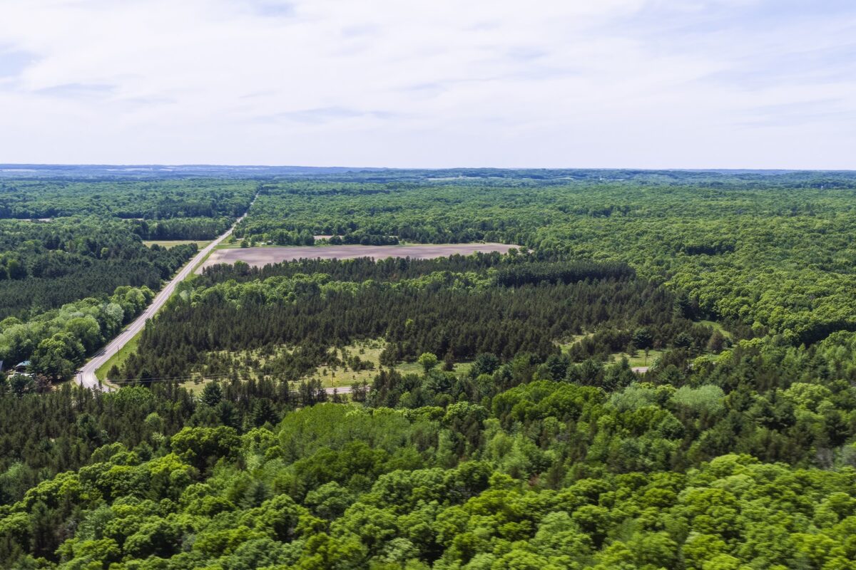 0 Lot 1, Augusta WI 54722 - Land house for sale - MLS #1601632 - image8
