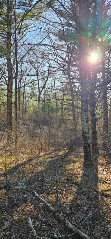0 Lot 7/8 Levis Creek Road, Black River Falls WI 54615 - Land house for sale - MLS #1591076 - image11