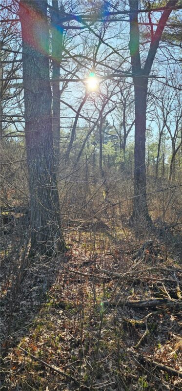 0 Lot 7/8 Levis Creek Road, Black River Falls WI 54615 - Land house for sale - MLS #1591076 - image14