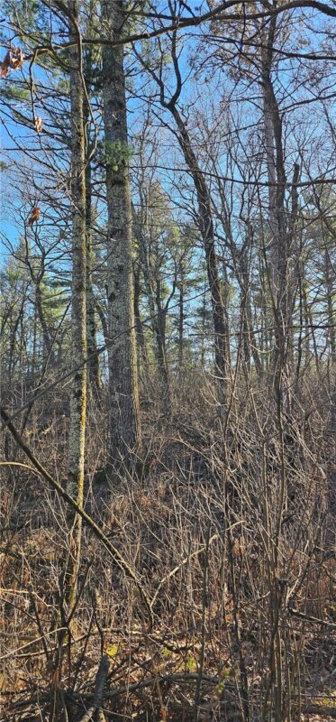 0 Lot 7/8 Levis Creek Road, Black River Falls WI 54615 - Land house for sale - MLS #1591076 - image15