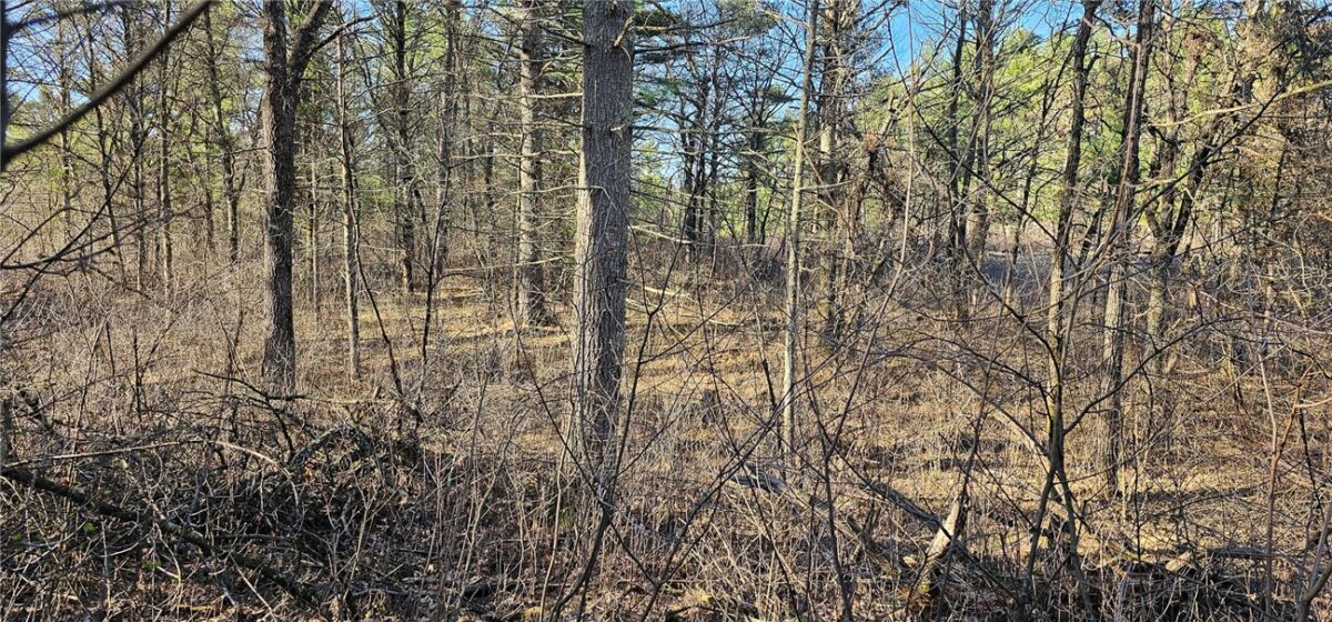 0 Lot 7/8 Levis Creek Road, Black River Falls WI 54615 - Land house for sale - MLS #1591076 - image17