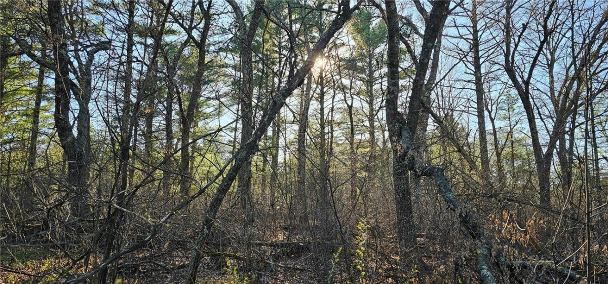 0 Lot 7/8 Levis Creek Road, Black River Falls WI 54615 - Land house for sale - MLS #1591076 - image18