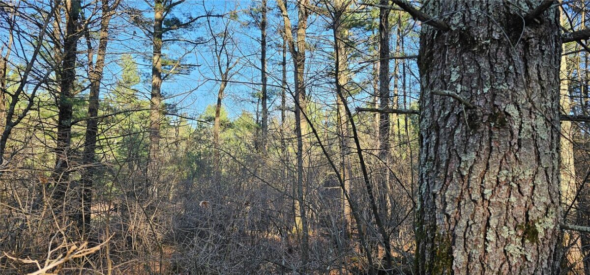 0 Lot 7/8 Levis Creek Road, Black River Falls WI 54615 - Land house for sale - MLS #1591076 - image19