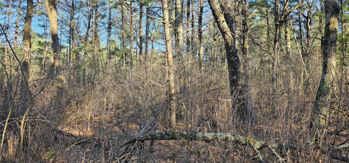 0 Lot 7/8 Levis Creek Road, Black River Falls WI 54615 - Land house for sale - MLS #1591076 - image20