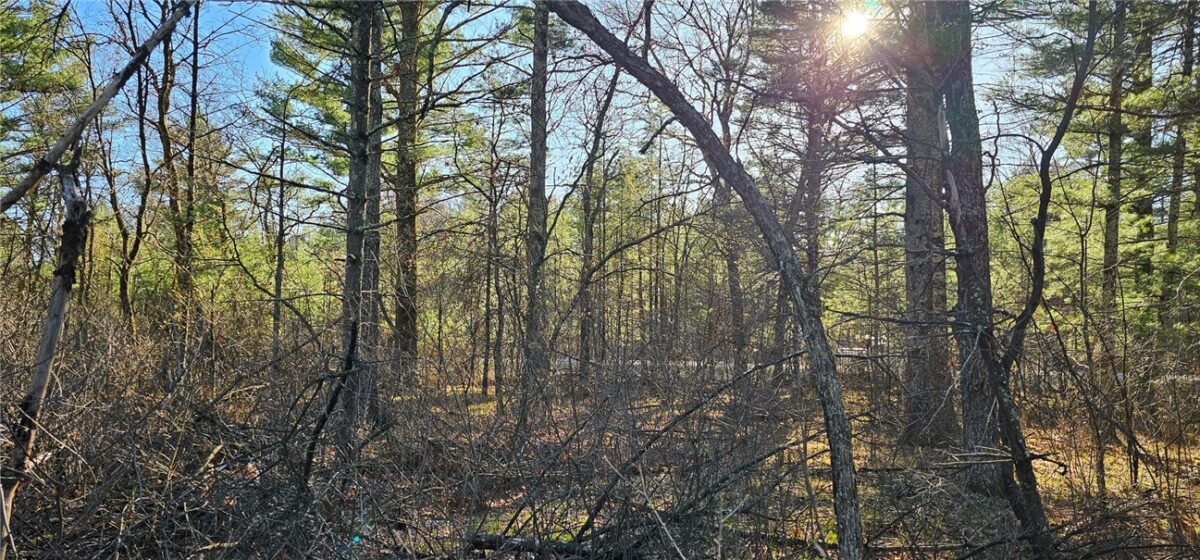 0 Lot 7/8 Levis Creek Road, Black River Falls WI 54615 - Land house for sale - MLS #1591076 - image21