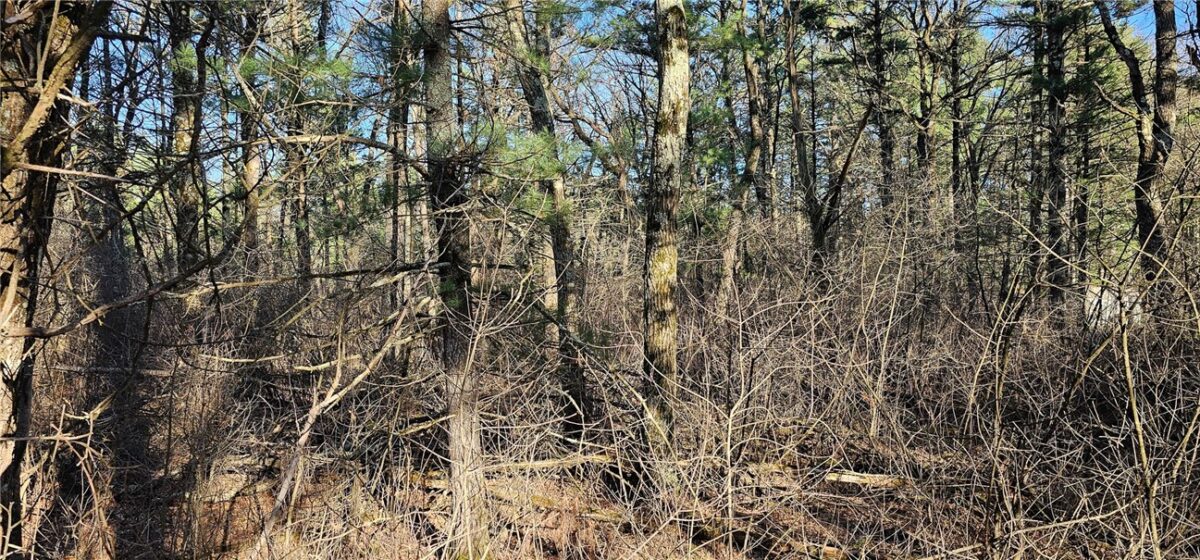 0 Lot 7/8 Levis Creek Road, Black River Falls WI 54615 - Land house for sale - MLS #1591076 - image22