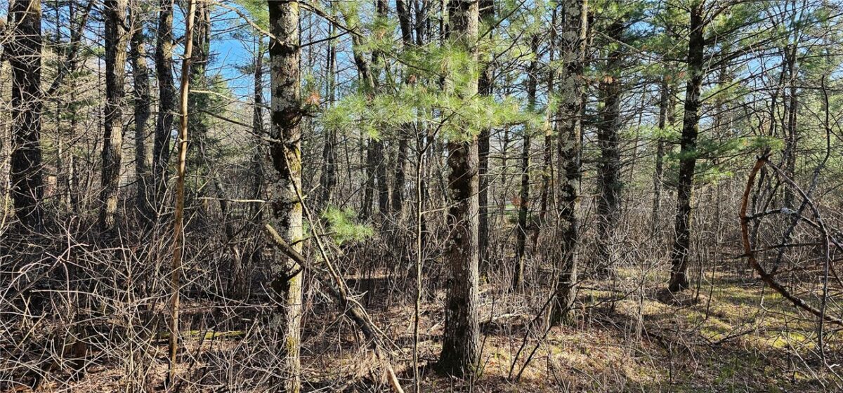 0 Lot 7/8 Levis Creek Road, Black River Falls WI 54615 - Land house for sale - MLS #1591076 - image23