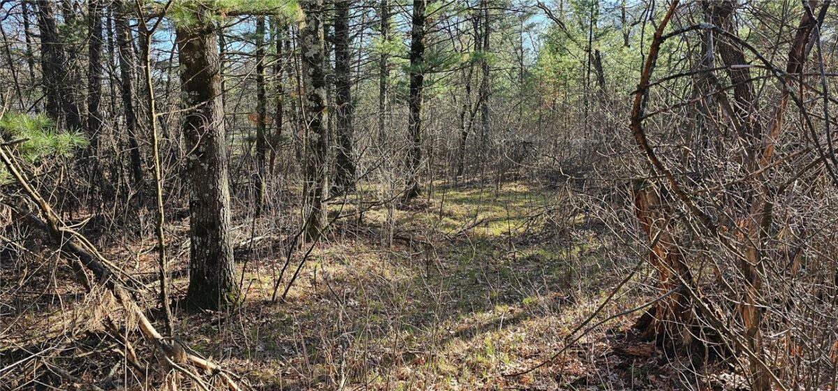 0 Lot 7/8 Levis Creek Road, Black River Falls WI 54615 - Land house for sale - MLS #1591076 - image24
