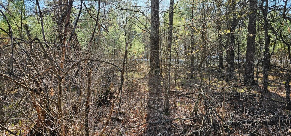 0 Lot 7/8 Levis Creek Road, Black River Falls WI 54615 - Land house for sale - MLS #1591076 - image25