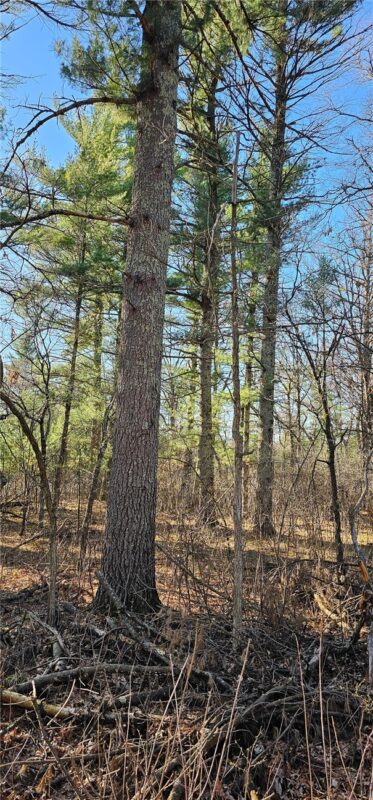 0 Lot 7/8 Levis Creek Road, Black River Falls WI 54615 - Land house for sale - MLS #1591076 - image26