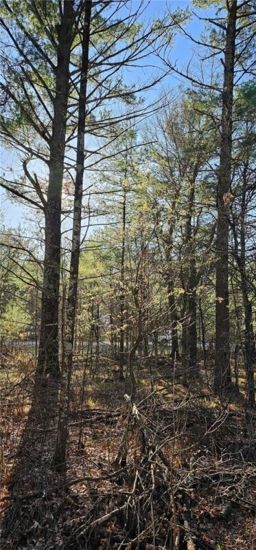 0 Lot 7/8 Levis Creek Road, Black River Falls WI 54615 - Land house for sale - MLS #1591076 - image27
