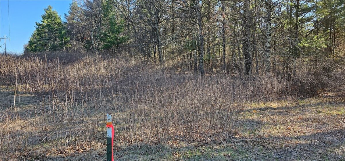 0 Lot 7/8 Levis Creek Road, Black River Falls WI 54615 - Land house for sale - MLS #1591076 - image8