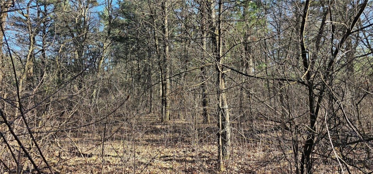 0 Lot 7/8 Levis Creek Road, Black River Falls WI 54615 - Land house for sale - MLS #1591076 - image9
