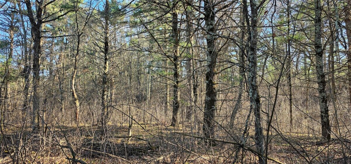 0 Lot 7/8 Levis Creek Road, Black River Falls WI 54615 - Land house for sale - MLS #1591076 - image10