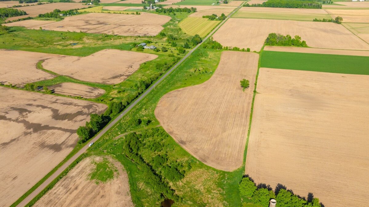 0 Nyes Road, Stanley WI 54768 - Land house for sale - MLS #1601802 - image11