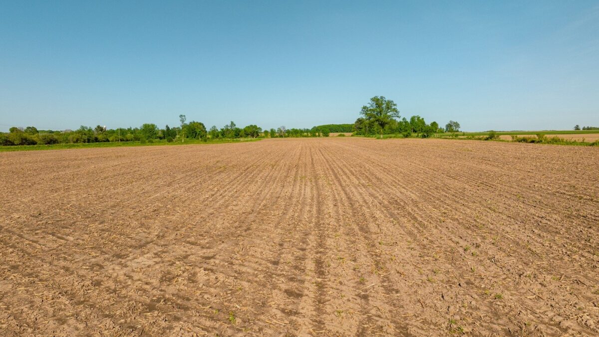 0 Nyes Road, Stanley WI 54768 - Land house for sale - MLS #1601802 - image12