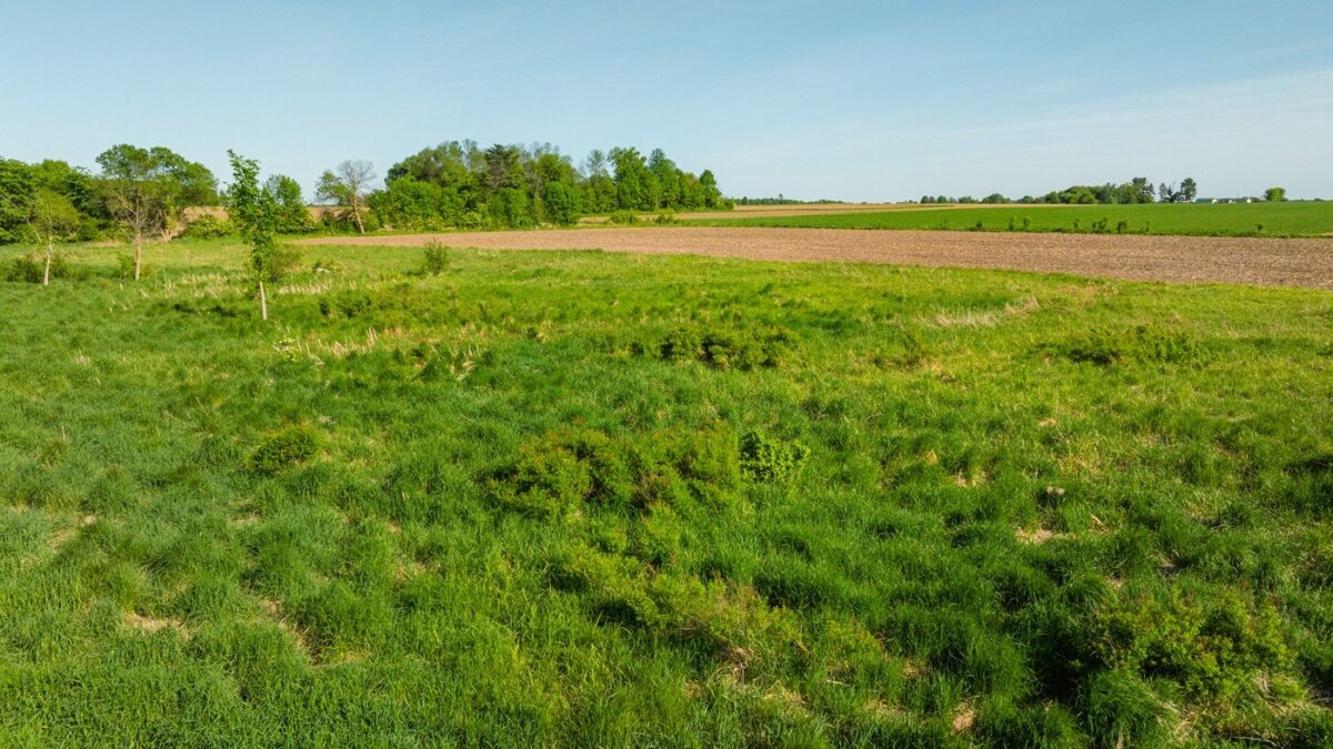 0 Nyes Road, Stanley WI 54768 - Land house for sale - MLS #1601802 - image20