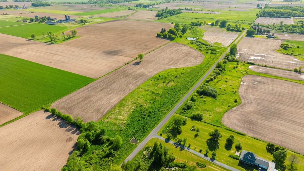 0 Nyes Road, Stanley WI 54768 - Land house for sale - MLS #1601802 - image3