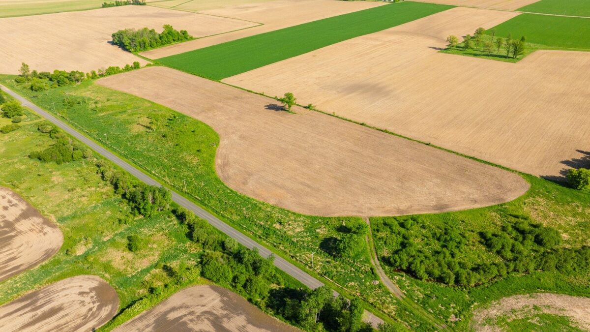 0 Nyes Road, Stanley WI 54768 - Land house for sale - MLS #1601802 - image4