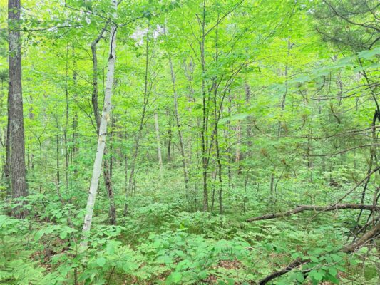 0 Schultz Lane Stone Lake WI 54876