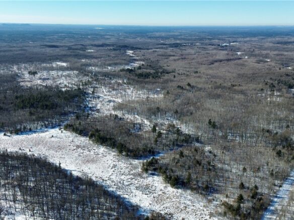 0 Sherwood Road, Pittsville WI 54466 - Land house for sale - MLS #1598139 - image1