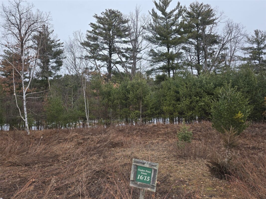 00 11 1/8 Avenue, Cameron WI 54822 - Land house for sale - MLS #1599077 - image3