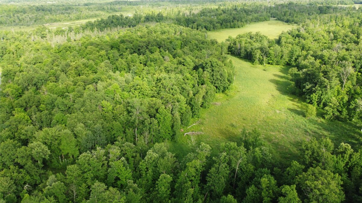 00 235th Avenue, Georgetown WI 54853 - Land house for sale - MLS #1602702 - image2