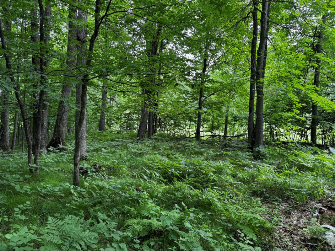 00 235th Avenue, Georgetown WI 54853 - Land house for sale - MLS #1602702 - image14