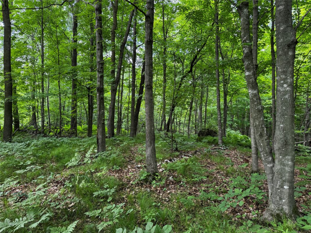 00 235th Avenue, Georgetown WI 54853 - Land house for sale - MLS #1602702 - image16