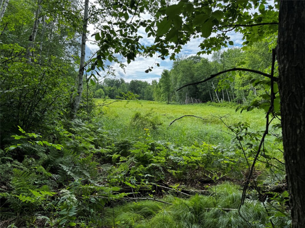 00 235th Avenue, Georgetown WI 54853 - Land house for sale - MLS #1602702 - image18