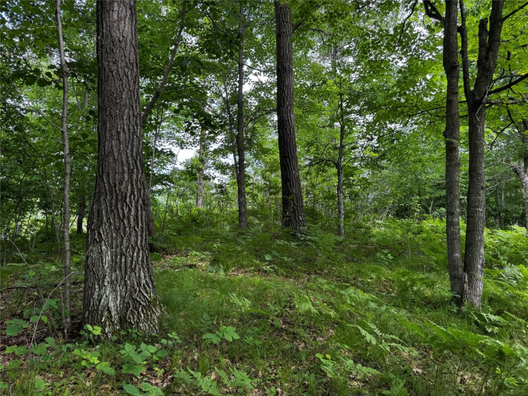 00 235th Avenue, Georgetown WI 54853 - Land house for sale - MLS #1602702 - image21