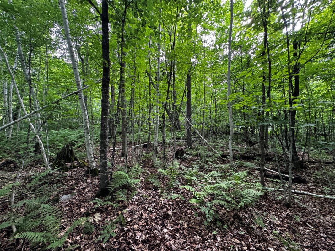 00 235th Avenue, Georgetown WI 54853 - Land house for sale - MLS #1602702 - image24