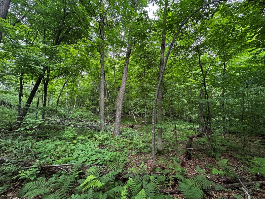 00 235th Avenue, Georgetown WI 54853 - Land house for sale - MLS #1602702 - image26