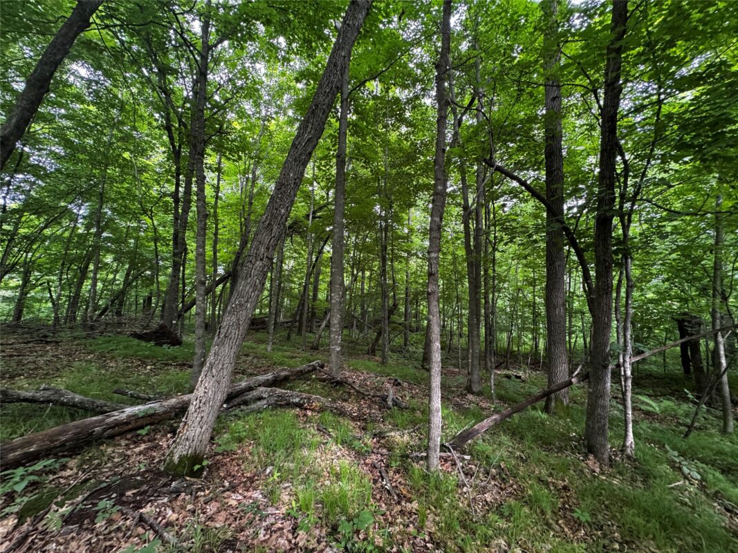 00 235th Avenue, Georgetown WI 54853 - Land house for sale - MLS #1602702 - image27