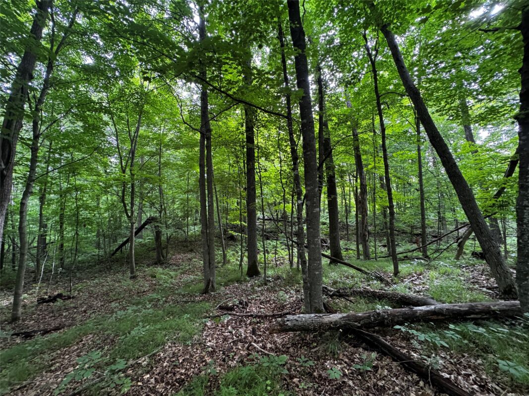 00 235th Avenue, Georgetown WI 54853 - Land house for sale - MLS #1602702 - image28