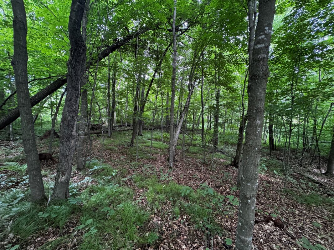 00 235th Avenue, Georgetown WI 54853 - Land house for sale - MLS #1602702 - image29