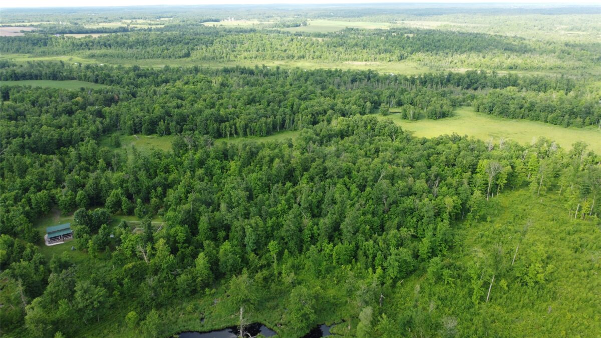 00 235th Avenue, Georgetown WI 54853 - Land house for sale - MLS #1602702 - image4