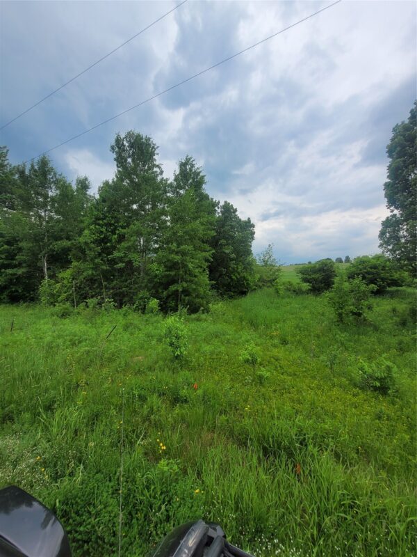 00 County Hwy B Lot 2, Neillsville WI 54456 - Land house for sale - MLS #1597939 - image2