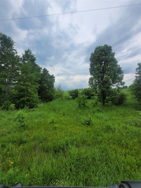 00 County Hwy B Lot 2, Neillsville WI 54456 - Land house for sale - MLS #1597939 - image3
