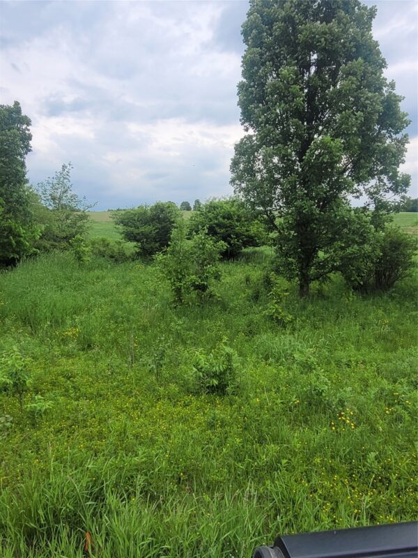 00 County Hwy B Lot 2, Neillsville WI 54456 - Land house for sale - MLS #1597939 - image4